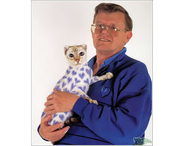 News Feed: Painted Cats