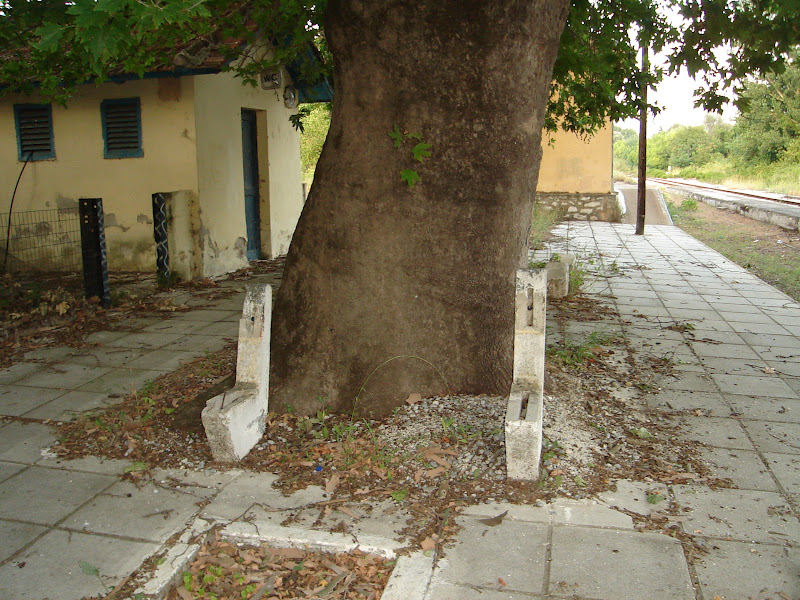 DSC01048.JPG