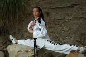 belajar taekwondo