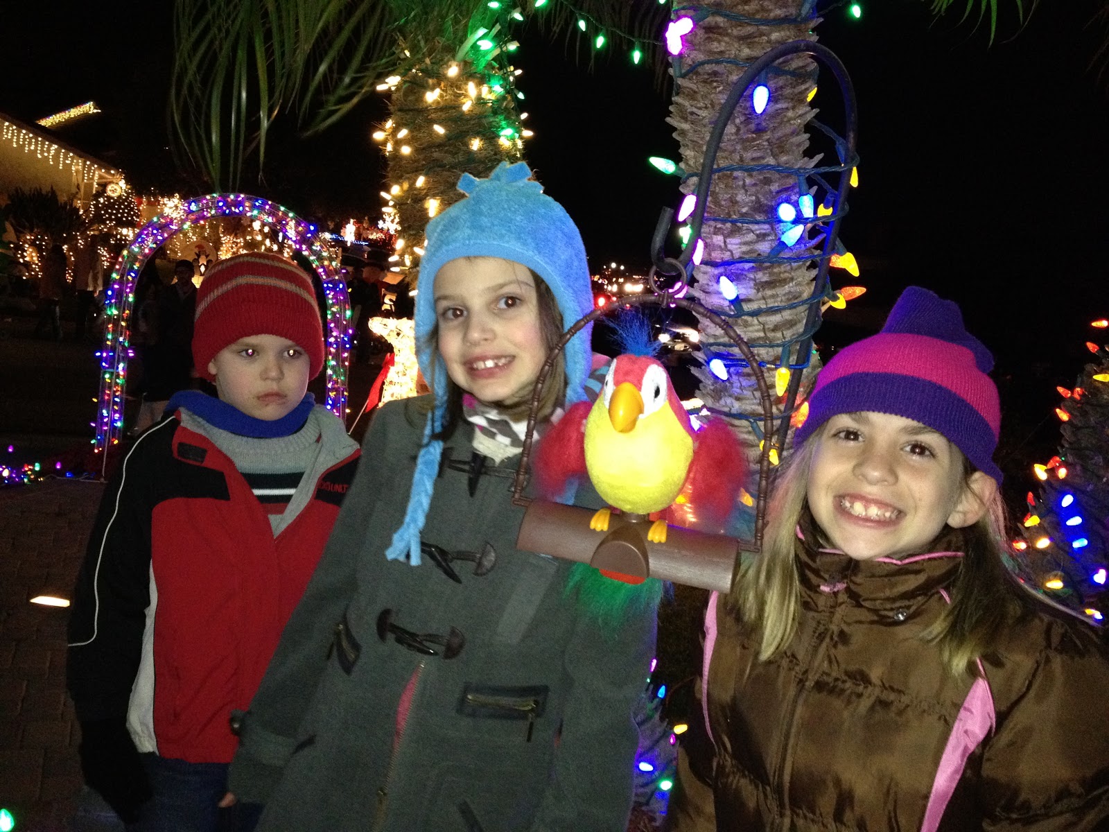 Eagle Hill Christmas Lights in Brea California