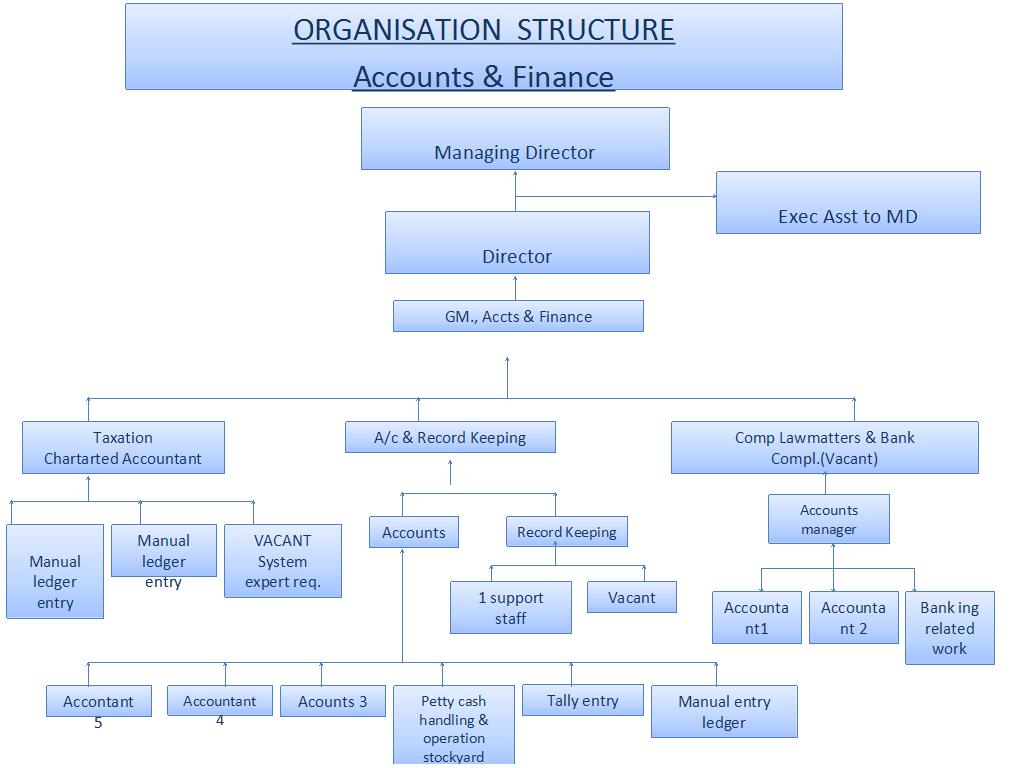 Org Chart Template Word