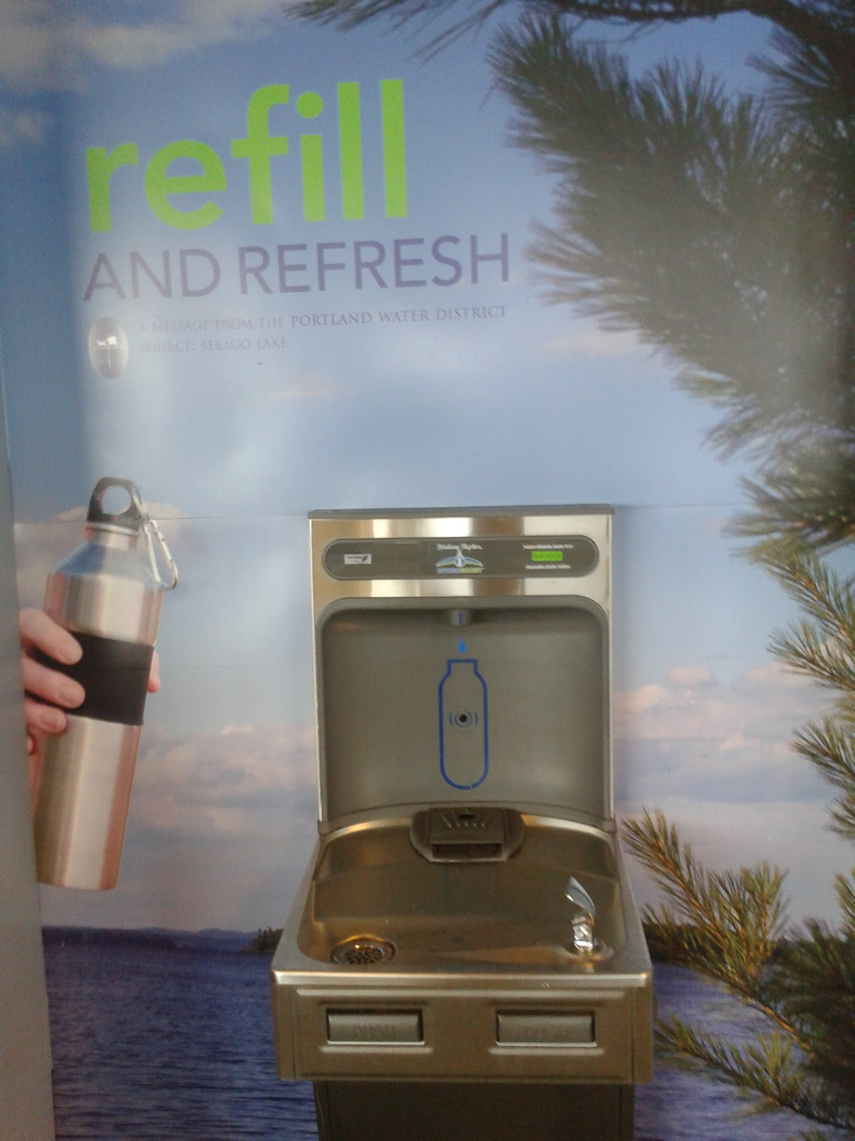 Sustainable Museums Green Options Water Bottles II