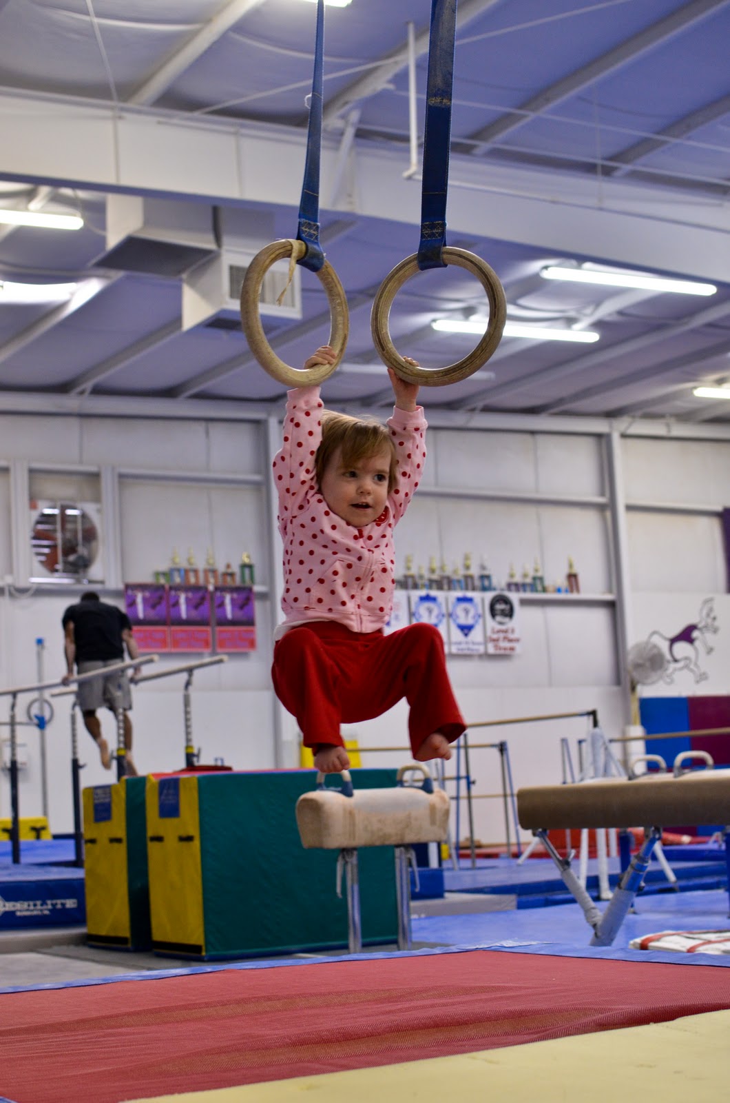 Life with Babies Gymnastics