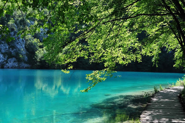 بحيرات بليتفيتش بارك في كرواتيا Lacs-Plitvice-13