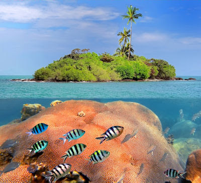 Isla de coral - Paisajes junto al mar - Amazing seascape
