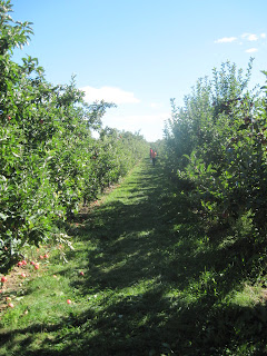 A Child's Garden: Signs of Autumn: Our Trip to the Orchard