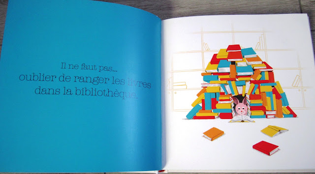 Le Dictionnaire Des Grosses Betises