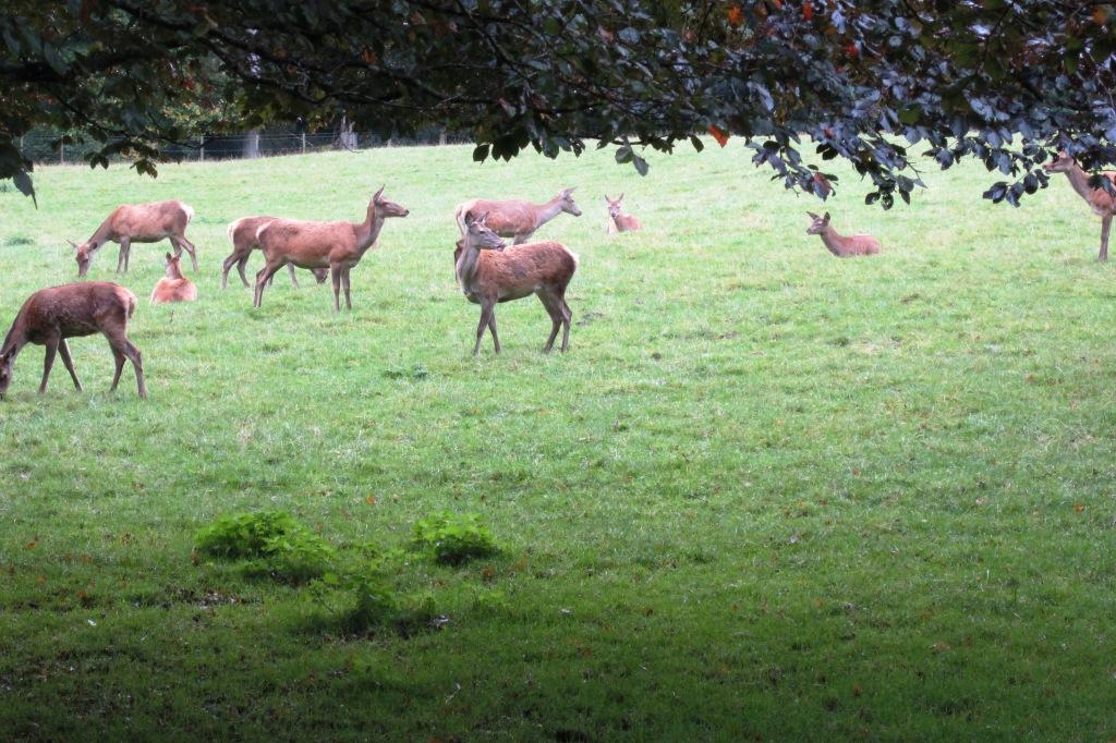 Craigatin House and Courtyard Pitlochry Scotland Blair Atholl Land