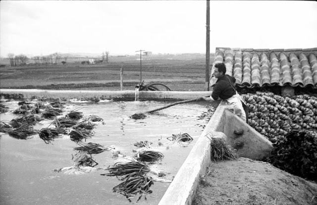 leganes_bn abuelohara Leganes1963 calles