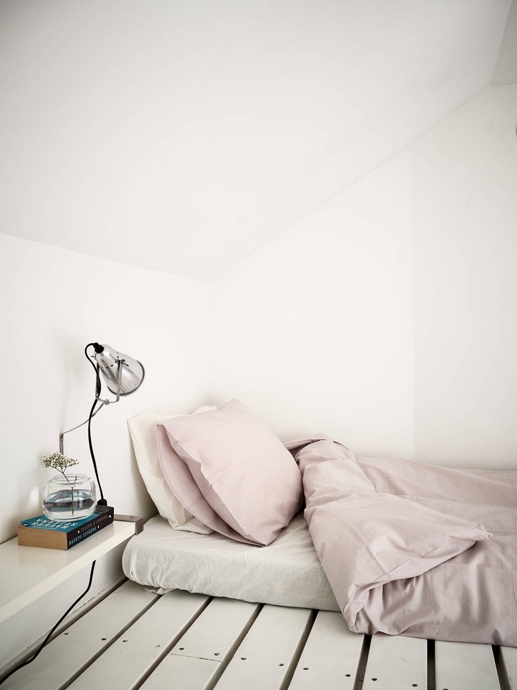 Cassava, the popular root vegetable and how to grow it in your garden