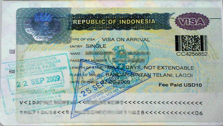 Виза на бали для россиян 2024. Туристическая виза 211 Бали. Виза Индонезии 2023. Виза на Бали. Виза туристическая Индонезии.