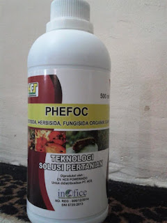 https://caramengatasihamawerengyangaman.blogspot.com/2018/10/phefoc-pestisida-herbisida-fungisida.html