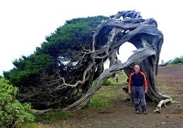 Rutas por el Hierro