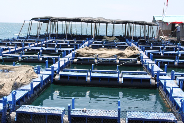 10 Manfaat Laut Bagi Kehidupan Manusia