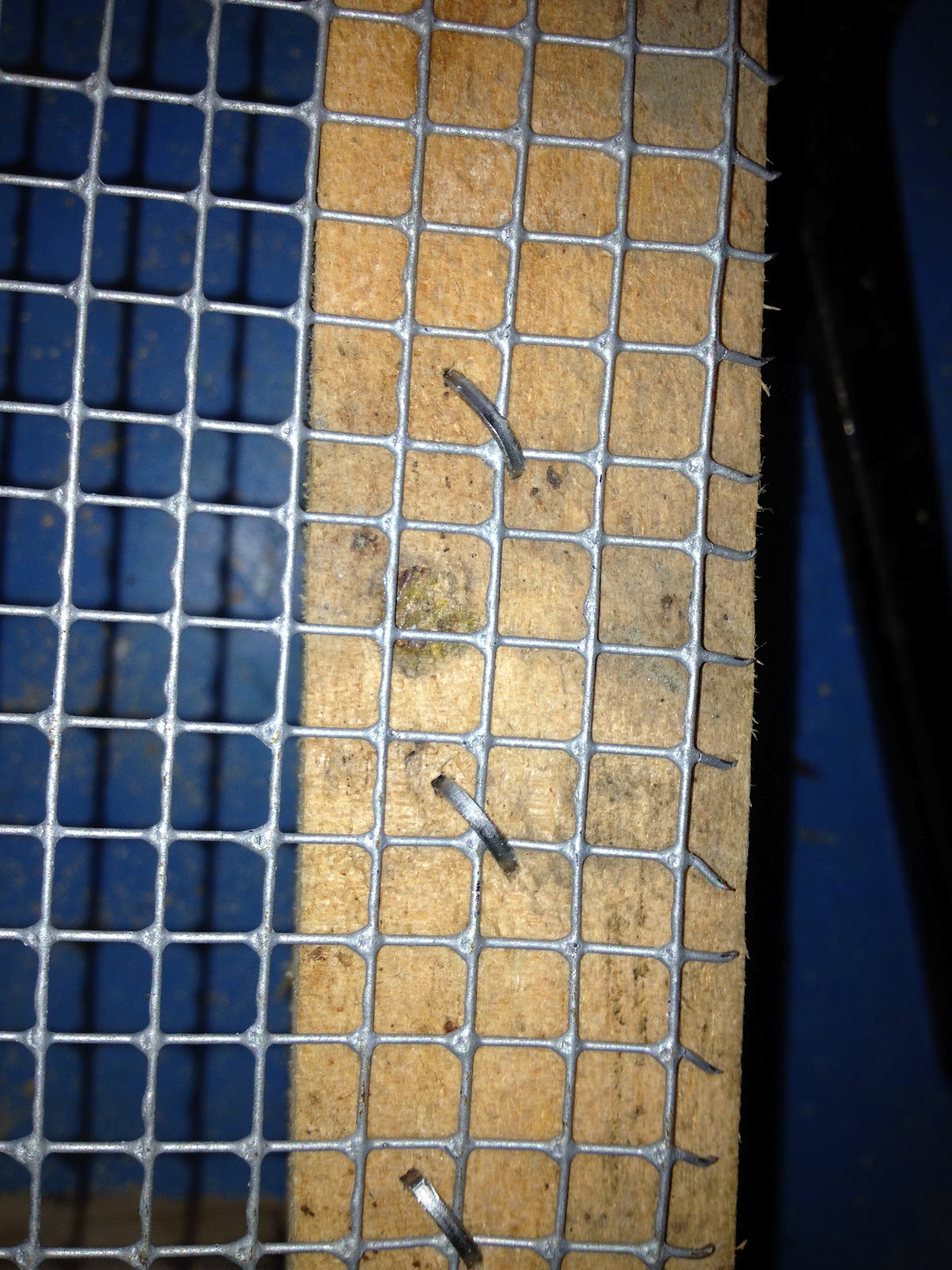 EL NIDO DEL XUAN: CONSTRUCCIÓN DE COMEDERO DE AVES