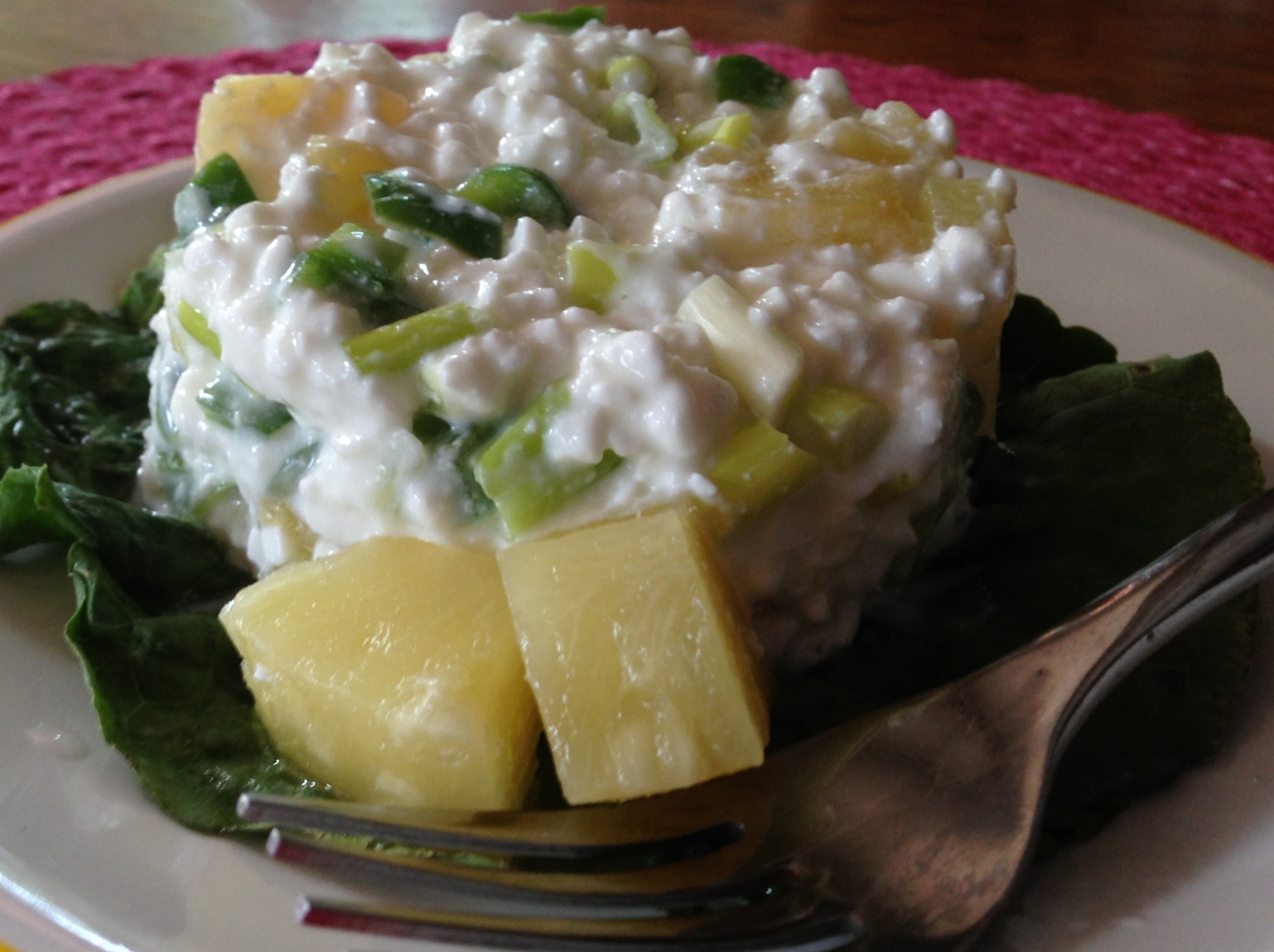 Cooking And All That Jazz Cottage Cheese Pepper Onion And