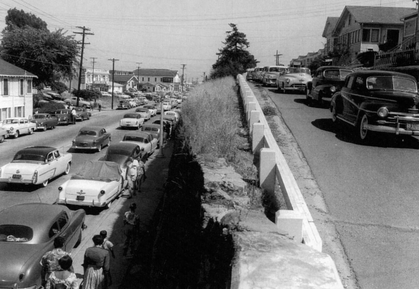 Forestdweller Santa Cruz