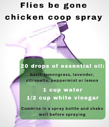 chicken coop flies keep spray coops chickens essential oil water inside recipe ways vinegar