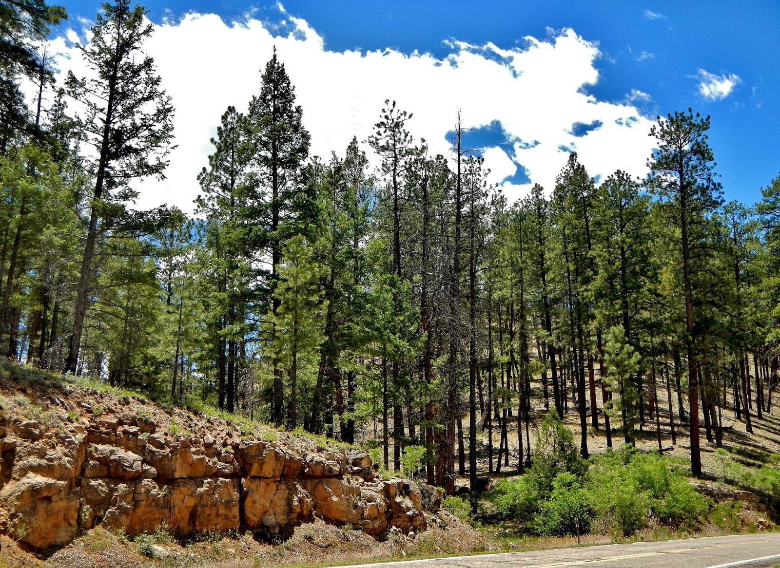 The Southwest Through Wide Brown Eyes The Road to the Road to the