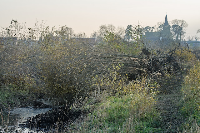 droga ekspresowa s5 bydgoszcz zamość rynarzewo szubin poznań
