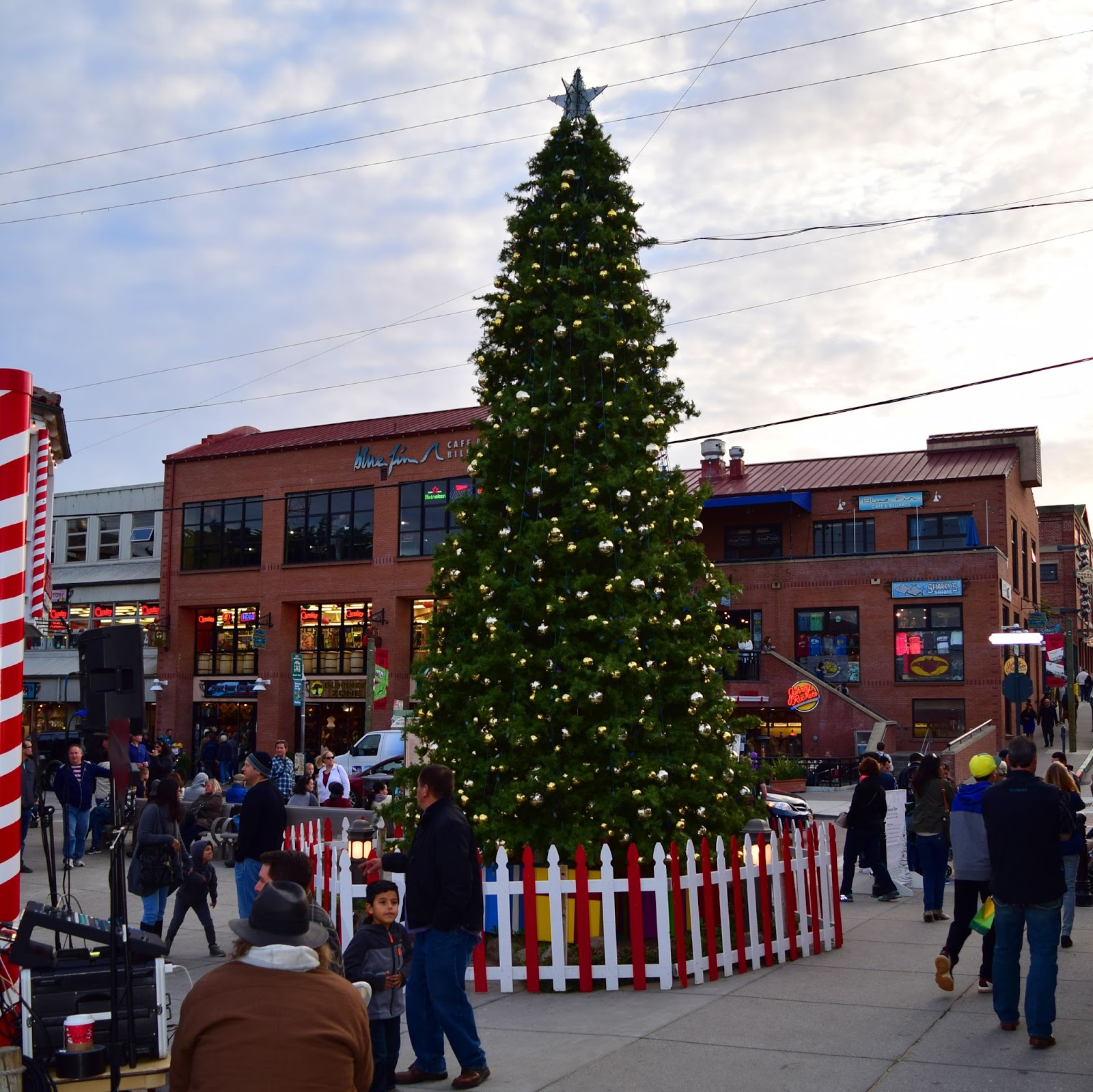 Christmas Tree Lighting CarmelbytheSea and Cannery Row