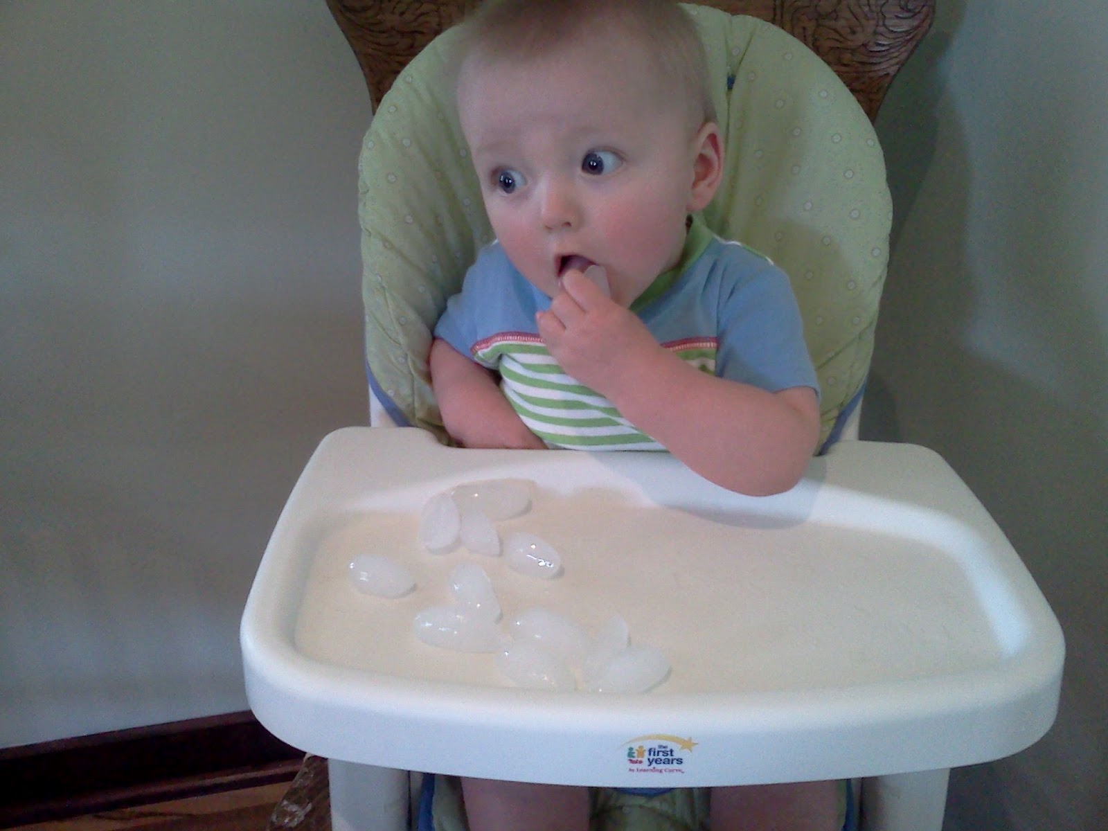 Adventures of a 30something Nanny Ice cubes and Dinosaurs