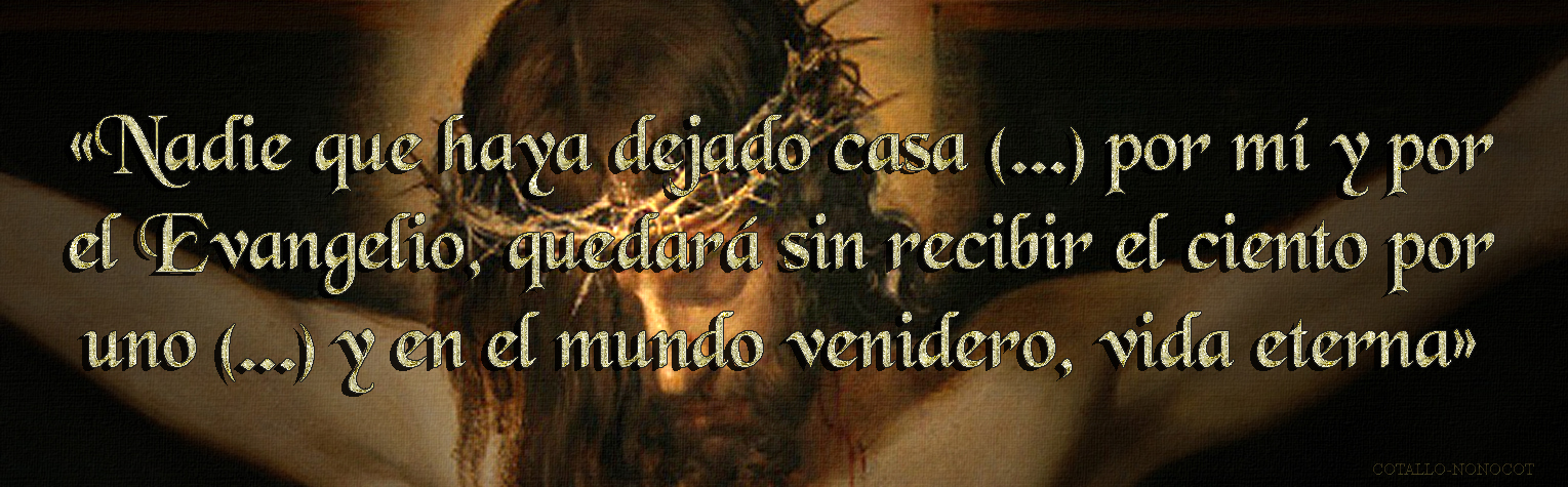 Resultado de imagen de o os aseguro: nadie que haya dejado casa, hermanos, hermanas, madre, padre, hijos o hacienda por mà y por el Evangelio, quedará sin recibir el ciento por uno