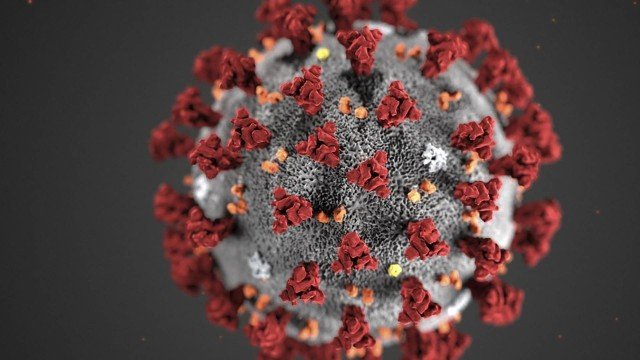 Brasileiro tem confirmado primeiro teste para coronavírus