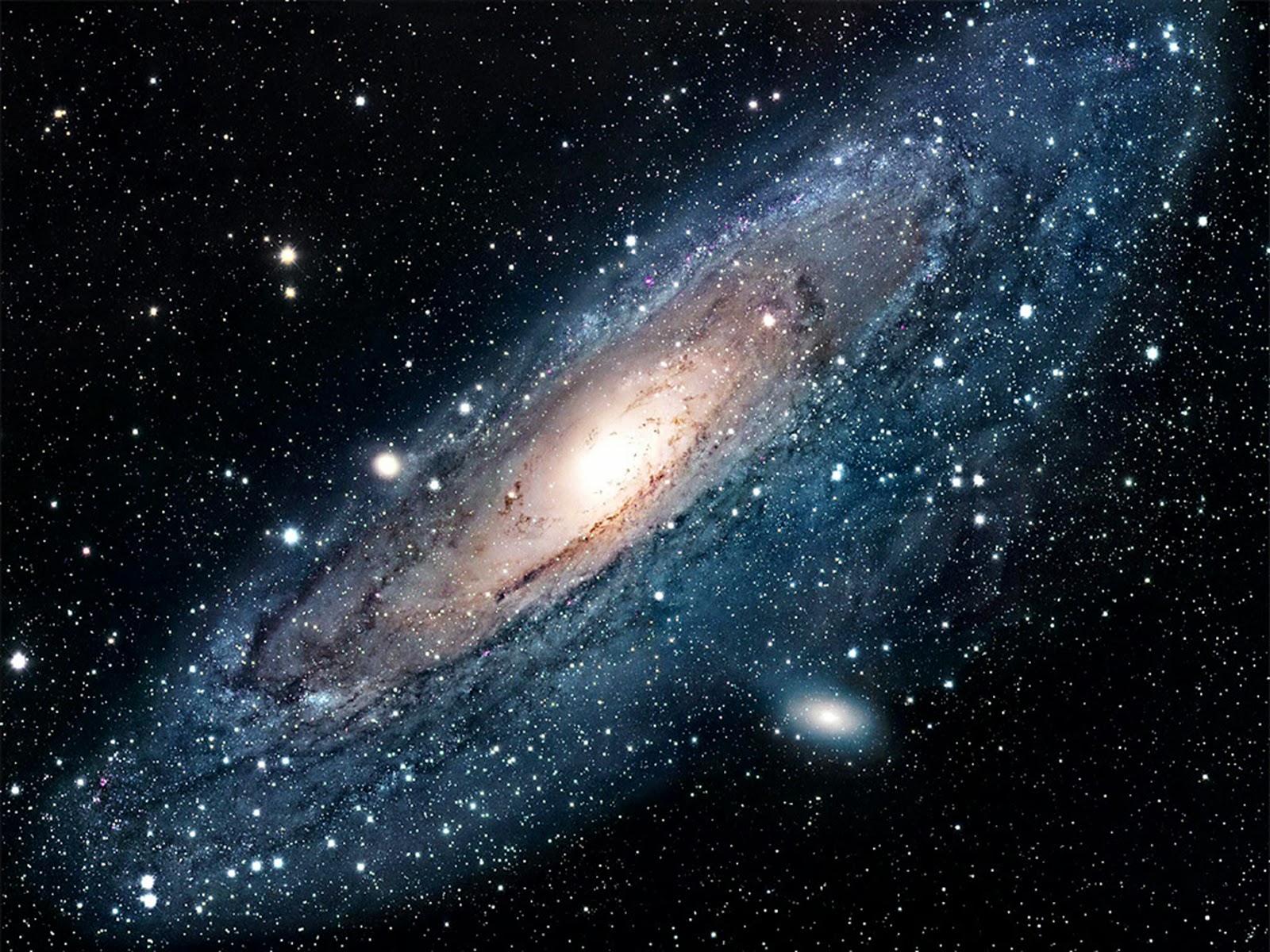 The Examined Life: Human Understanding