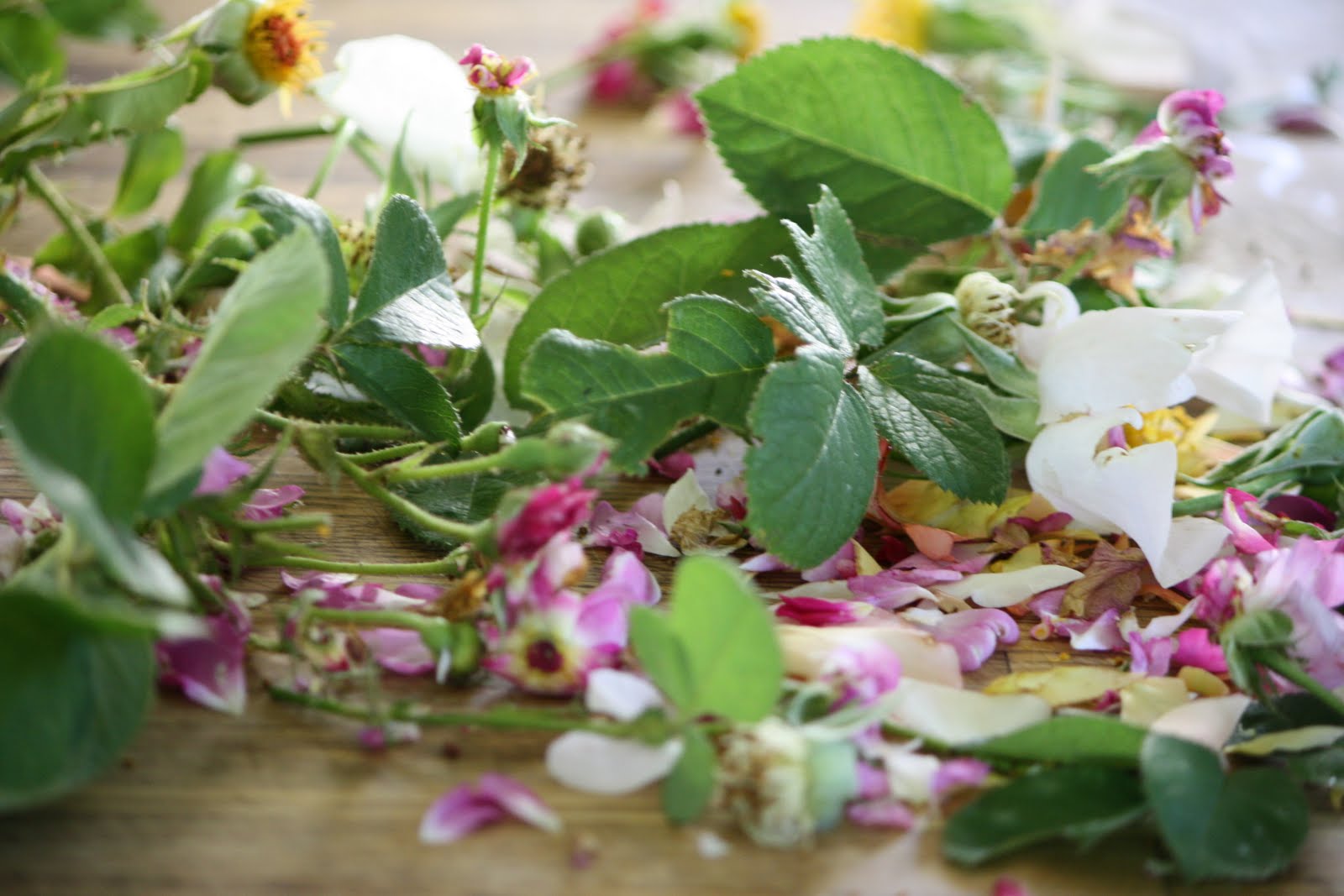 What's Cooking in your World? Day 143! Poland Pączki Polish Donuts