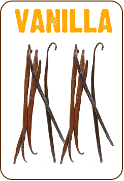 where does vanilla come from