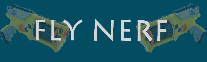 Fly Nerf: The Blog'O Nerf
