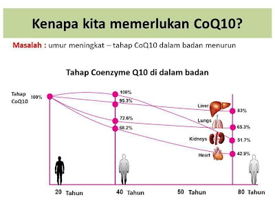 semakin meningkat usia, CoQ10 semakin kurang dihasilkan