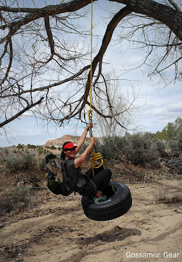 desert tire swing