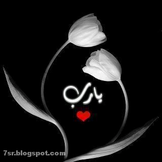 صور يا رب صور يا رب