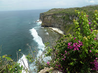 INDONESIA - Tercera Etapa BALI: Recorremos la isla y pasamos a Nusa Lembongan - INDONESIA - Sumatra, Java, Bali, Gilis & Lombok (6)