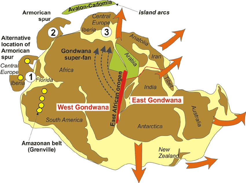 Щите древней платформы в рельефе австралии соответствует. Распад Гондваны. Континент Гондвана. Распад материка Гондвана. Суперконтинента Гондвана.