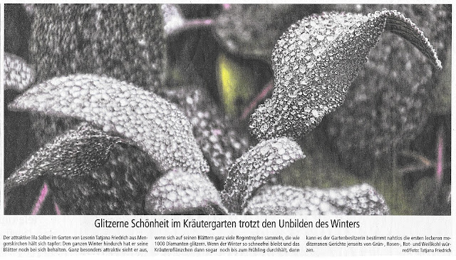 Tageszeitung Weilburger Tageblatt,tatjana Friedrich