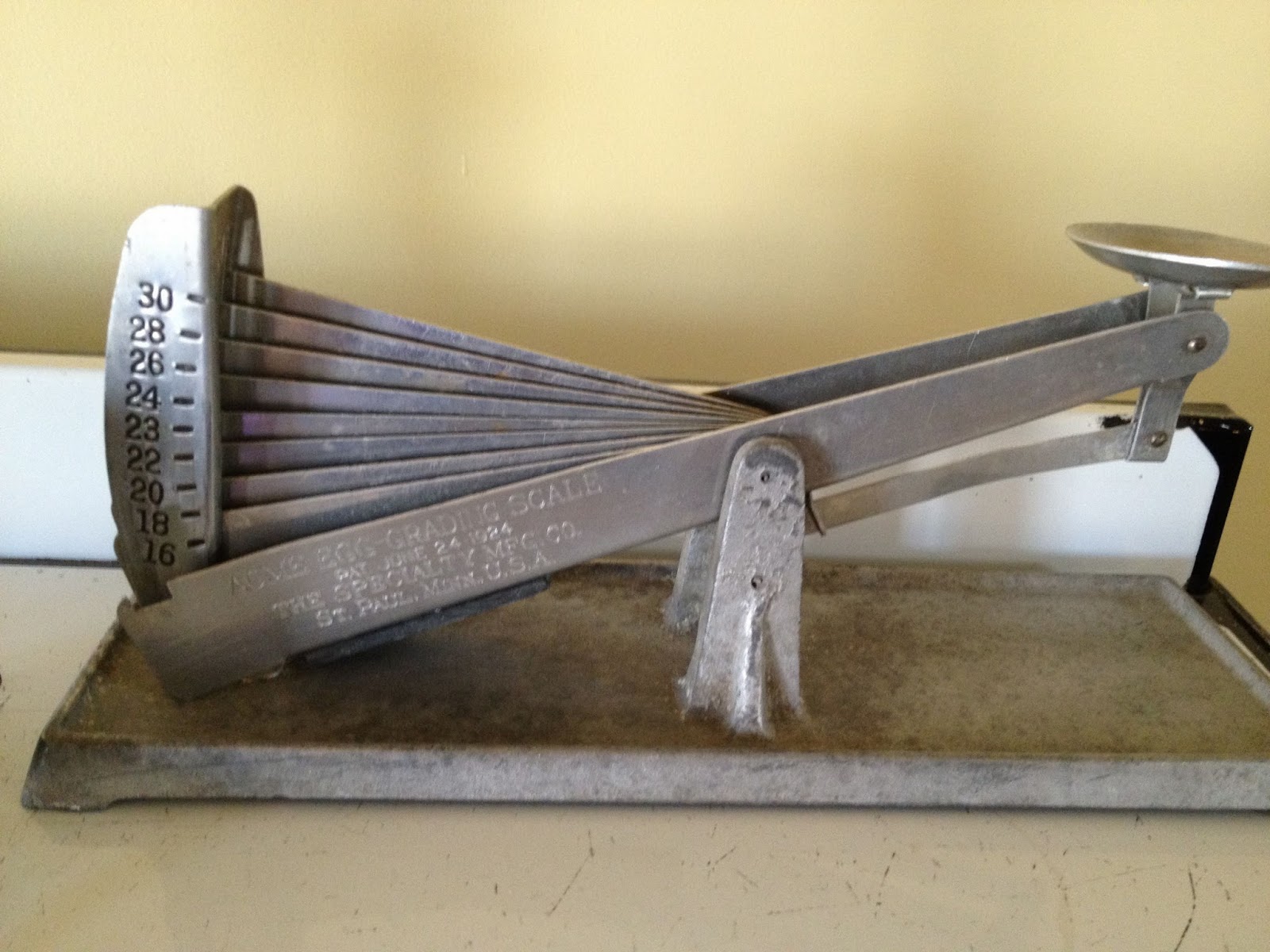 Antique Hunter: Acme Egg Grading Scale