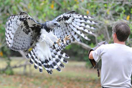 [Image: panama-canal-loc-3.jpg]