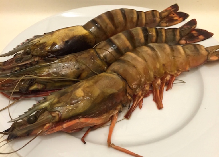 Black Tiger Shrimps Suppliers, Asian Tiger Shrimps, Giant Shrimps