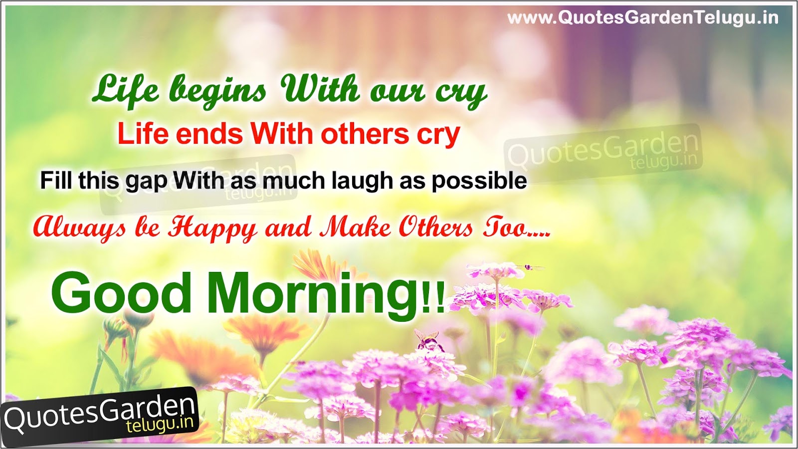 good morning messages with nice HD wallpapers | QUOTES GARDEN TELUGU |  Telugu Quotes | English Quotes | Hindi Quotes |