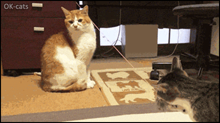 Art Cat GIF • Sadistic Cat & Masochistic Cat living in purrfect harmony ♪ ♫ haha Art Cat GIF • Sadistic Cat & Masochistic Cat living in purrfect harmony ♪ ♫ haha