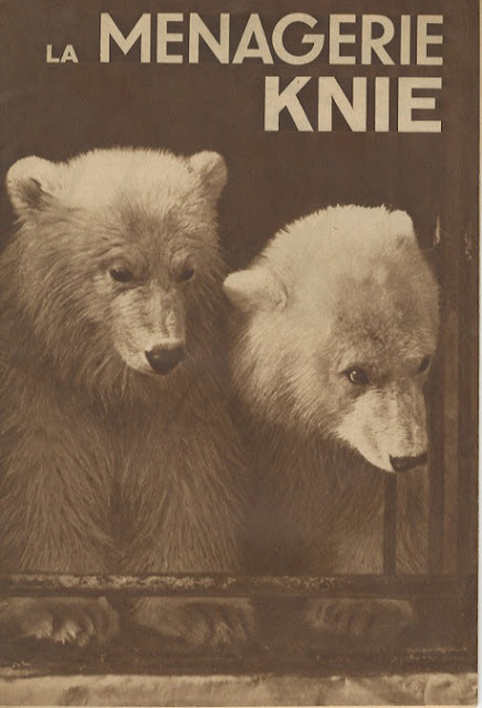 Guide des animaux de la ménagerie du Cirque Knie 1951