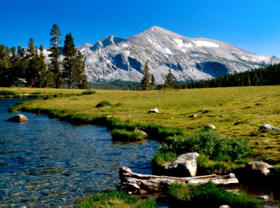 Saturday 11th July 2015 05PM   1600x1200 Free Park Desktop