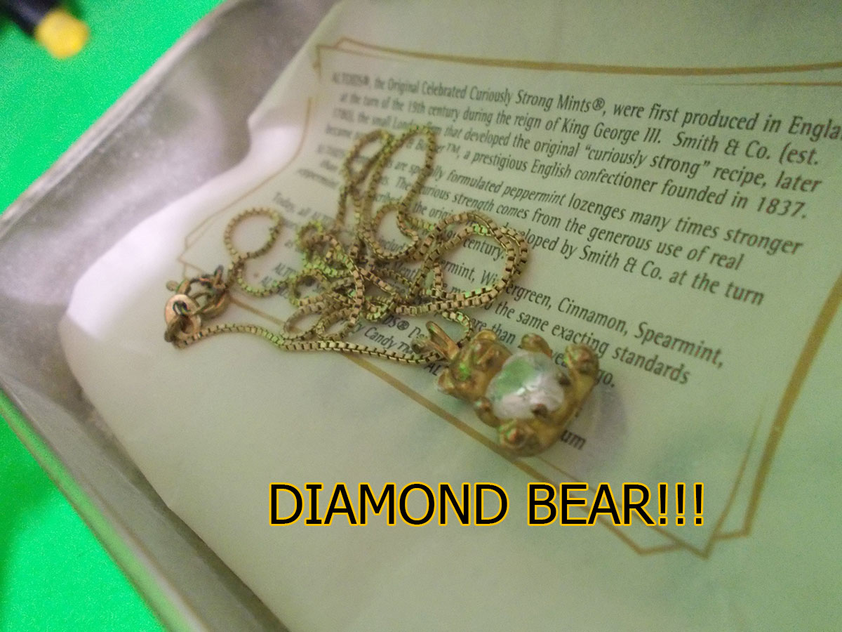 Fujiko - Fujiko and the Diamond Bear 49-diamondbear