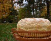 October - No-Knead English Muffin Bread