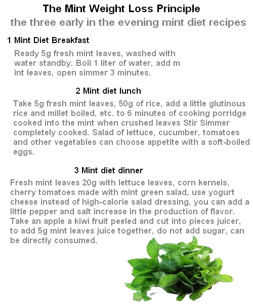 Mint Weight Loss Diet Foods for Weight Loss The Truth About it