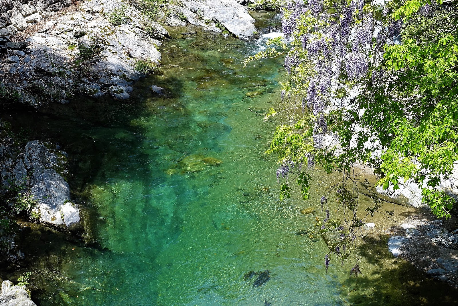 さをり織り工房 めぐみ塾 七滝八壺ってご存じ