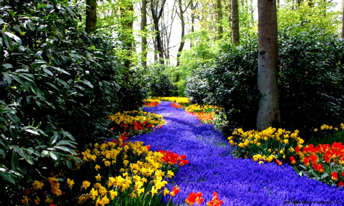 Spring Widescreen Wallpaper  Hd Wallpapers